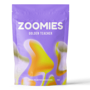 Golden Teacher | Strongest Cubensis Strain Canada