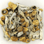 Orissa | Strongest Cubensis Strain Canada