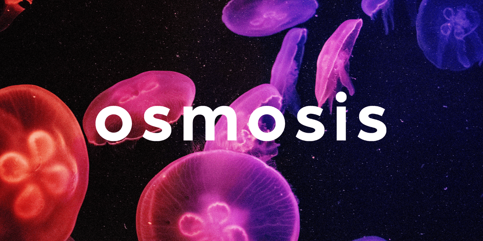 Zoomies osmosis banner | Strongest Cubensis Strain Canada