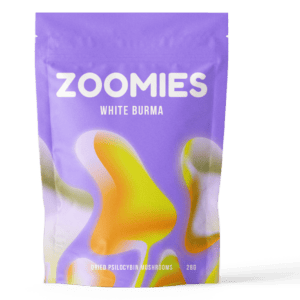 White Burma | Strongest Cubensis Strain Canada