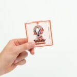 Wonder – Psilocybin Chocolate Bar – Blood Orange | Strongest Cubensis Strain Canada
