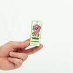 Wonder – Psilocybin Chocolate Bar – Dark Chocolate | Strongest Cubensis Strain Canada