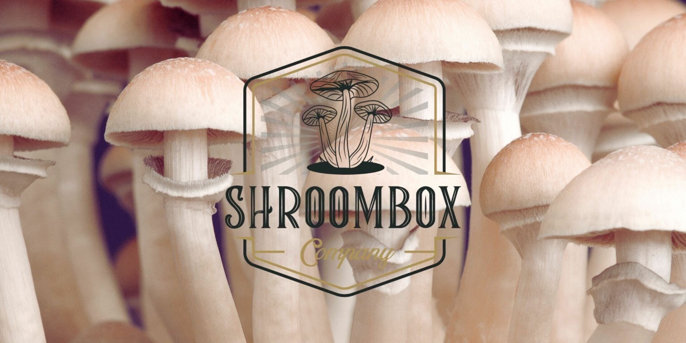 Shroom Box logo | Strongest Cubensis Strain Canada