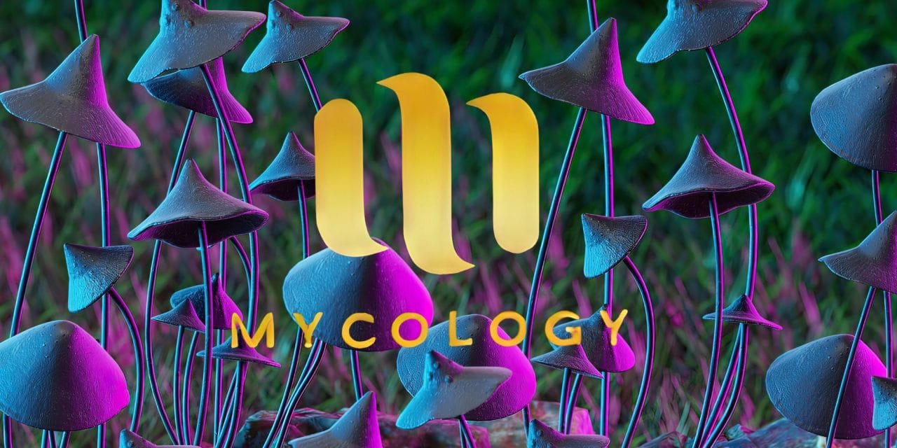 Zoomies Summer 2023 Banner - Mycology | Strongest Cubensis Strain Canada