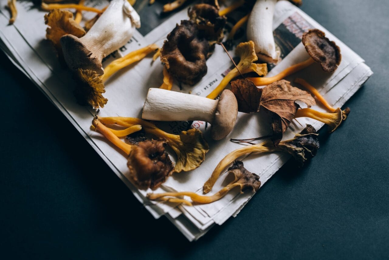 Can Mushrooms and Chocolate Be Combined?