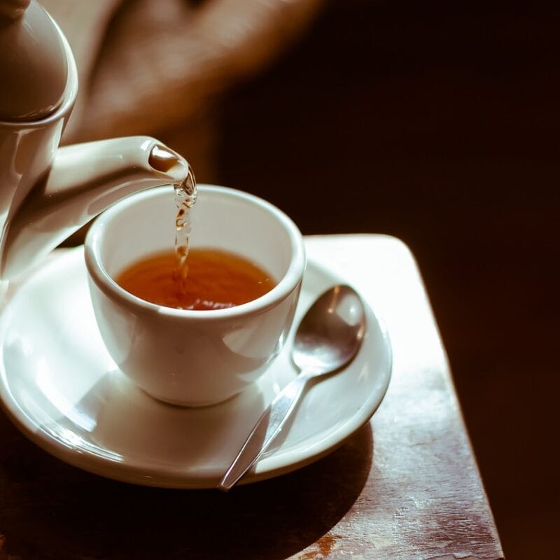 How to make shroom tea | Strongest Cubensis Strain Canada