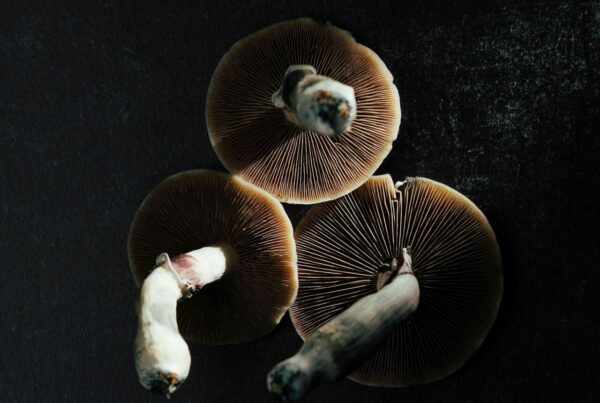 Magic Mushroom Canada